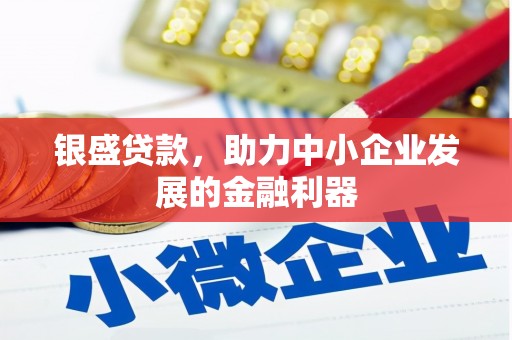 太保银盛贷款，助力中小企业发展的金融利器