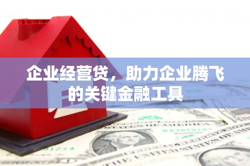 太保企业经营贷，助力企业腾飞的关键金融工具