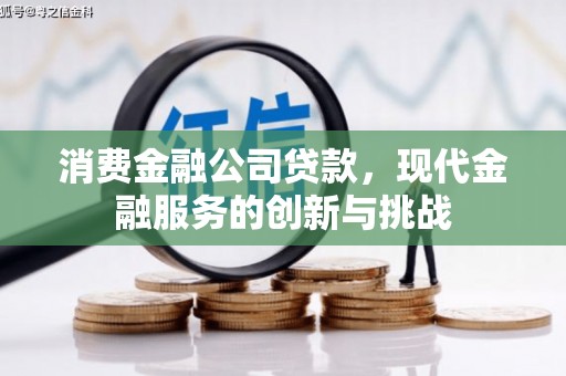 太保消费金融公司贷款，现代金融服务的创新与挑战