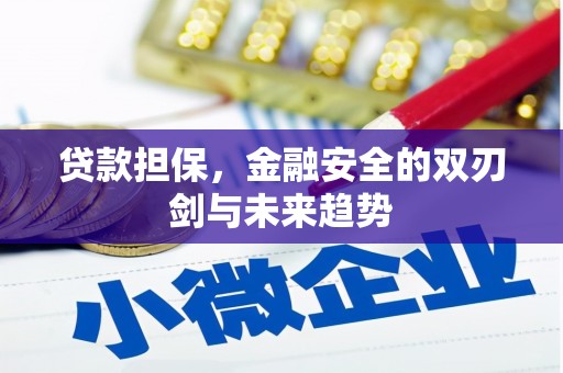 太保贷款担保，金融安全的双刃剑与未来趋势