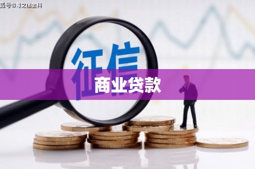 太保商业贷款