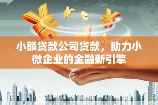 太保小额贷款公司贷款，助力小微企业的金融新引擎