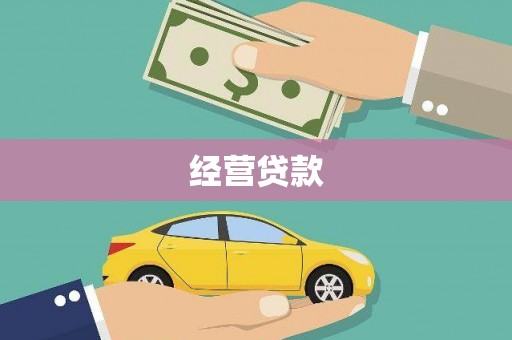 太保经营贷款
