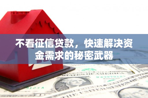 太保不看征信贷款，快速解决资金需求的秘密武器