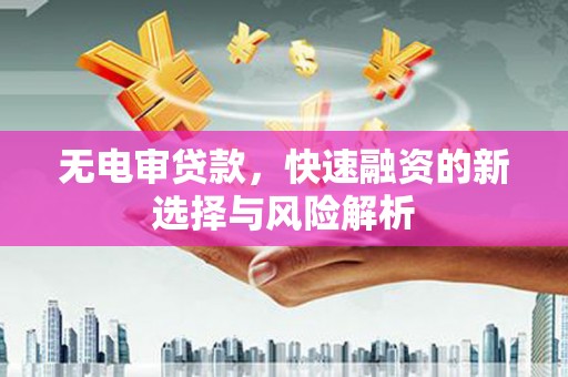 太保无电审贷款，快速融资的新选择与风险解析