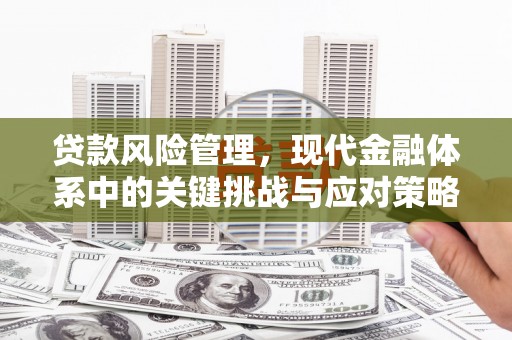 太保贷款风险管理，现代金融体系中的关键挑战与应对策略