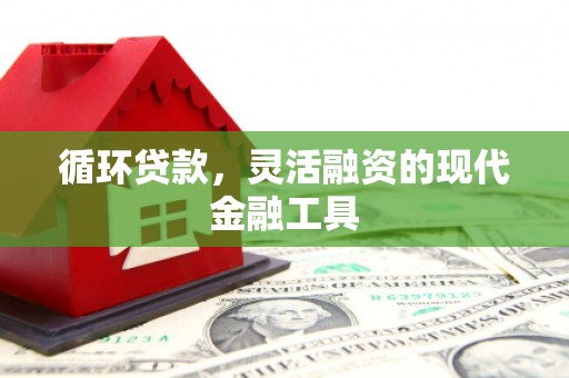 太保循环贷款，灵活融资的现代金融工具