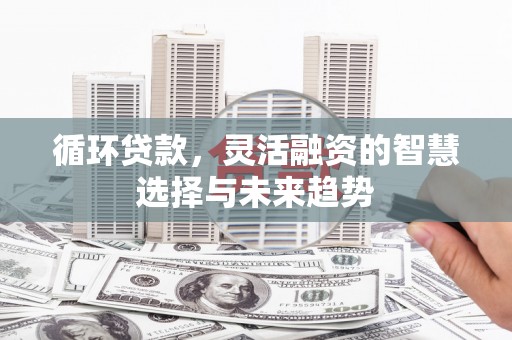 太保循环贷款，灵活融资的智慧选择与未来趋势