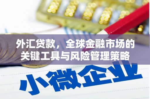太保外汇贷款，全球金融市场的关键工具与风险管理策略