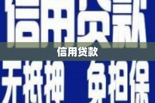 太保信用贷款