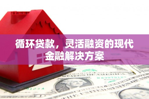 太保循环贷款，灵活融资的现代金融解决方案