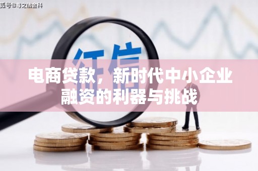 太保电商贷款，新时代中小企业融资的利器与挑战