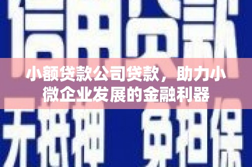 太保小额贷款公司贷款，助力小微企业发展的金融利器