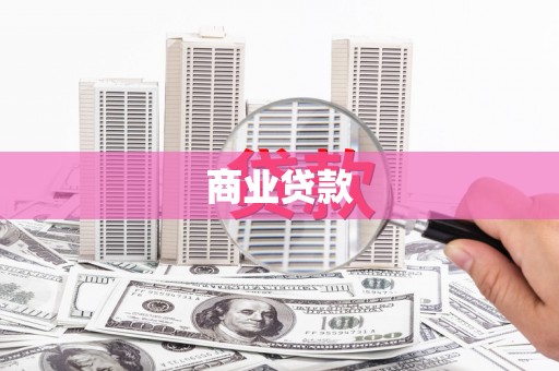 太保商业贷款