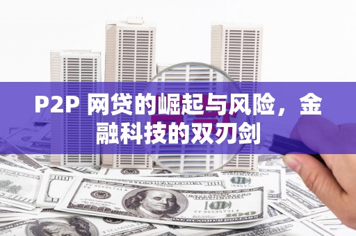 太保P2P 网贷的崛起与风险，金融科技的双刃剑