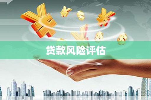 太保贷款风险评估