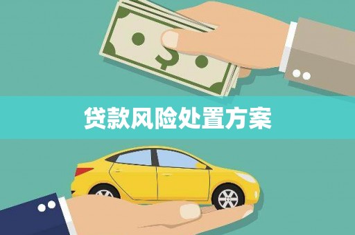 太保贷款风险处置方案