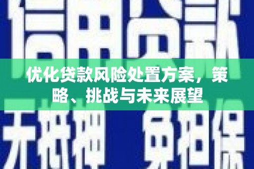 太保优化贷款风险处置方案，策略、挑战与未来展望