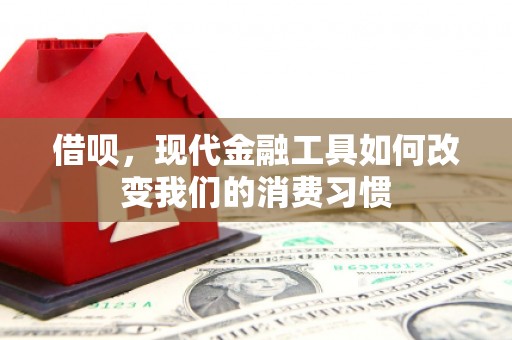 太保借呗，现代金融工具如何改变我们的消费习惯
