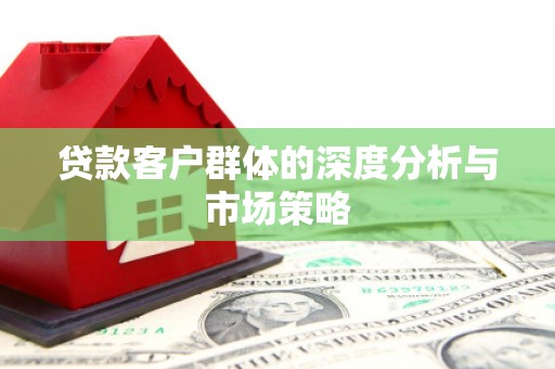 太保贷款客户群体的深度分析与市场策略