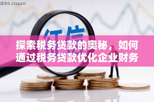 太保探索税务贷款的奥秘，如何通过税务贷款优化企业财务