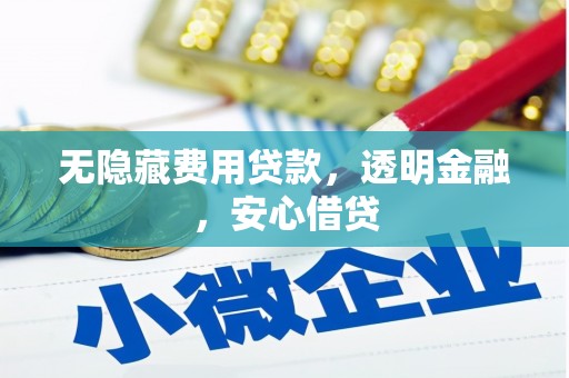 太保无隐藏费用贷款，透明金融，安心借贷