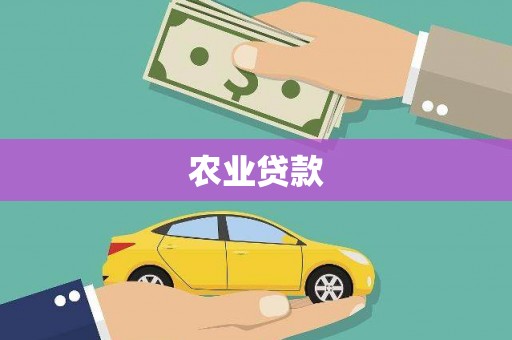 太保农业贷款