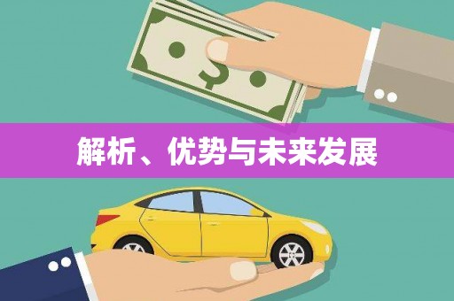 太保解析、优势与未来发展