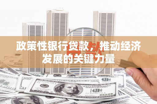 太保政策性银行贷款，推动经济发展的关键力量