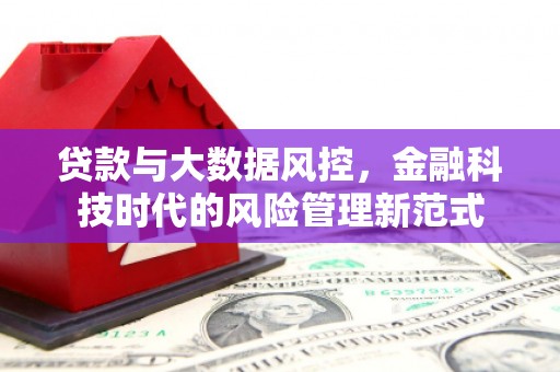 太保贷款与大数据风控，金融科技时代的风险管理新范式