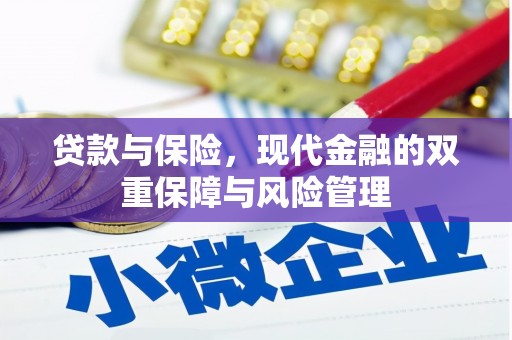 太保贷款与保险，现代金融的双重保障与风险管理