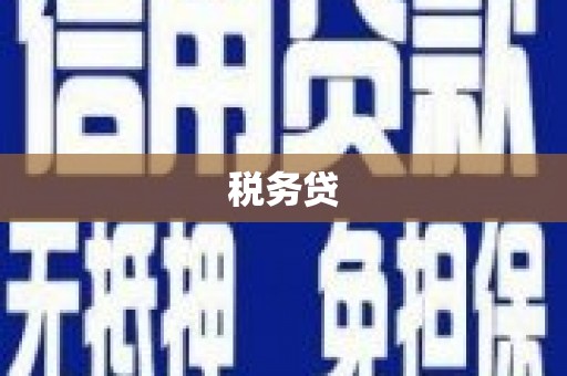 太保税务贷