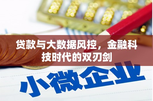 太保贷款与大数据风控，金融科技时代的双刃剑