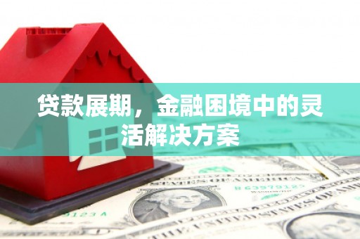 太保贷款展期，金融困境中的灵活解决方案