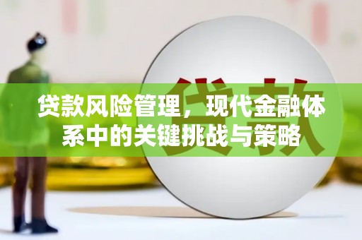 太保贷款风险管理，现代金融体系中的关键挑战与策略