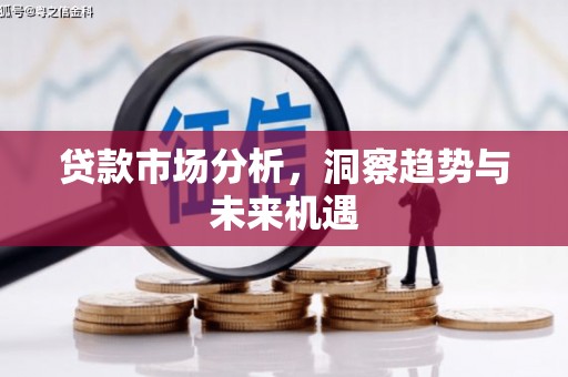 太保贷款市场分析，洞察趋势与未来机遇