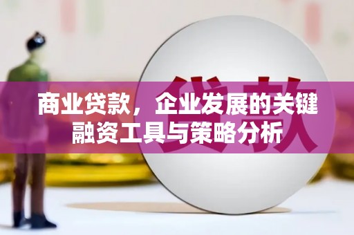 太保商业贷款，企业发展的关键融资工具与策略分析