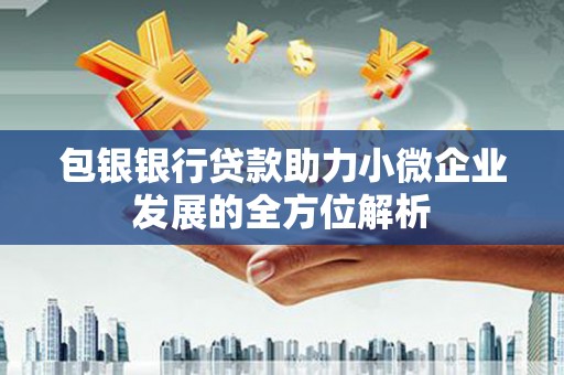 太保包银银行贷款助力小微企业发展的全方位解析