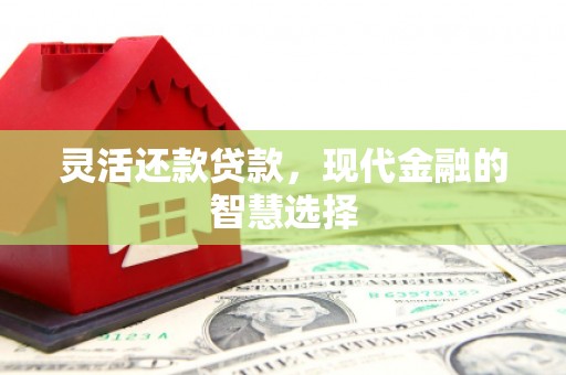 太保灵活还款贷款，现代金融的智慧选择