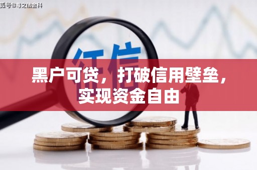 太保黑户可贷，打破信用壁垒，实现资金自由