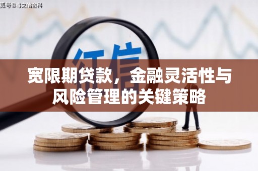 太保宽限期贷款，金融灵活性与风险管理的关键策略