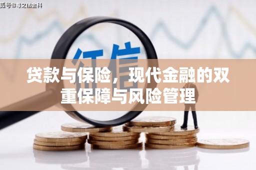 太保贷款与保险，现代金融的双重保障与风险管理