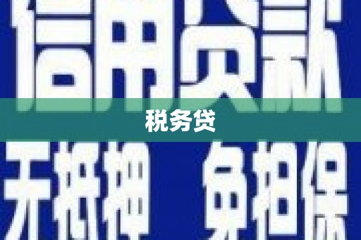 太保税务贷