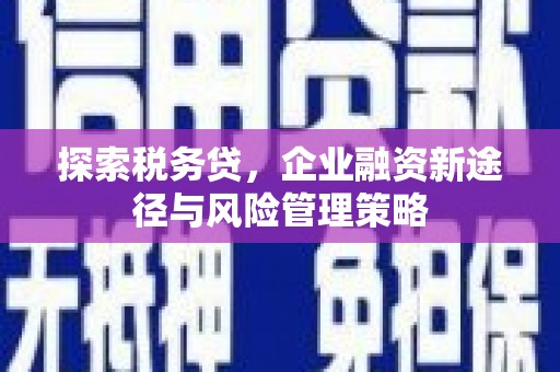 太保探索税务贷，企业融资新途径与风险管理策略