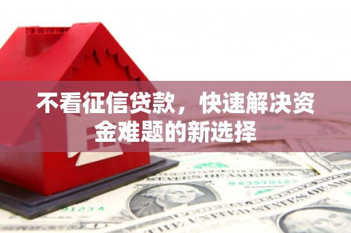 太保不看征信贷款，快速解决资金难题的新选择