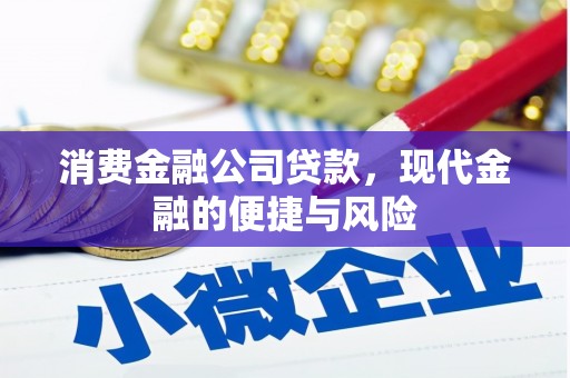 太保消费金融公司贷款，现代金融的便捷与风险