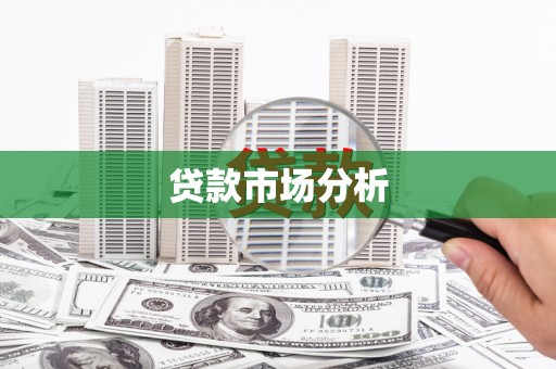太保贷款市场分析