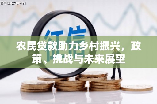 太保农民贷款助力乡村振兴，政策、挑战与未来展望