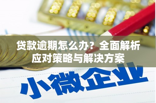太保贷款逾期怎么办？全面解析应对策略与解决方案