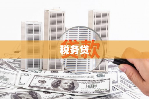 太保税务贷